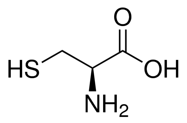 L-Cysteine Manufacturers in india