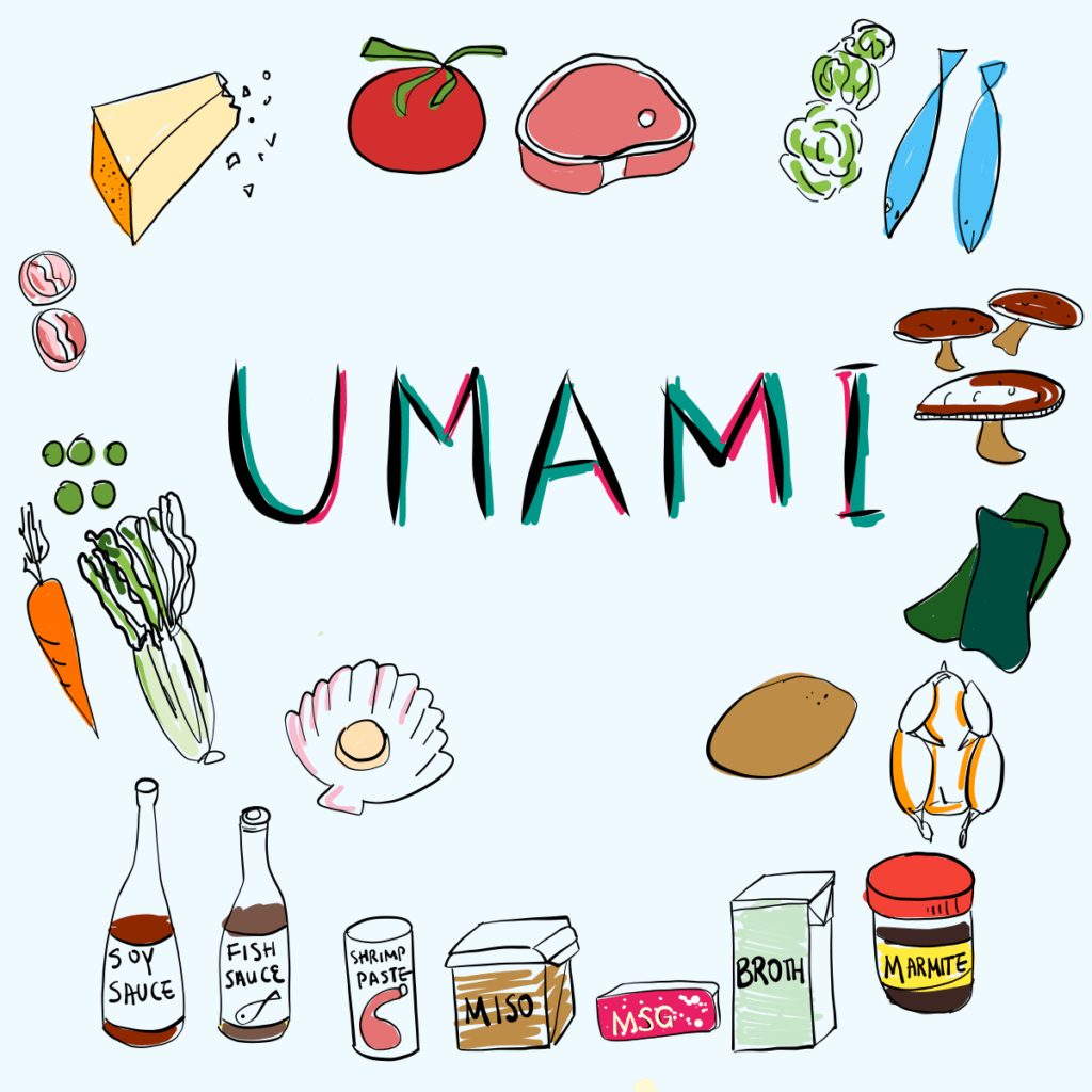 Umami Flavor manufacturers in india, Umami flavor 