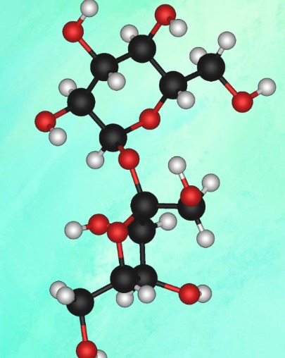 Cysteine Hydrochloride Manufacturers in india