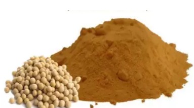 Soya Sauce Powder Manufacturers in india 