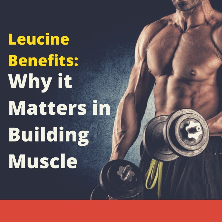 L-Cysteine Manufacturers in india