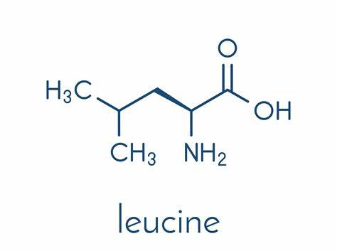 Acetylcysteine manufacturers in india 
