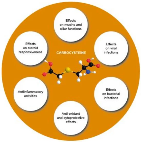 L-Cysteine Manufacturers in india